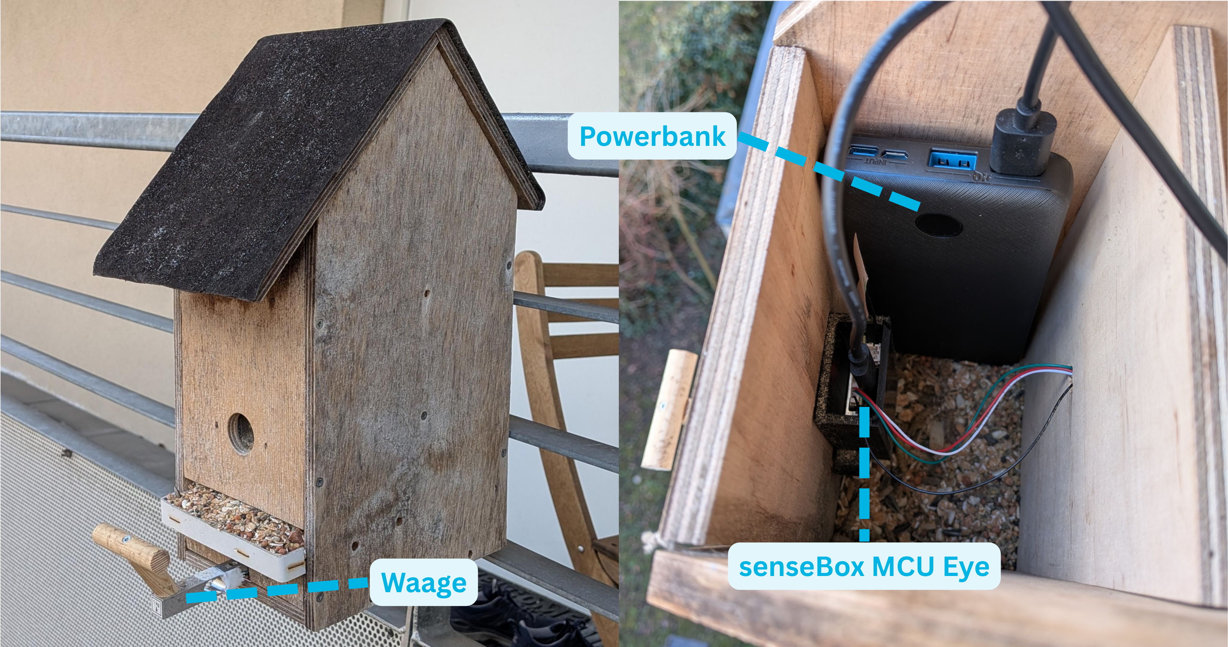 /images/blog/2026-06-15-Vogelerkennung/house-with-inside.png - Logo