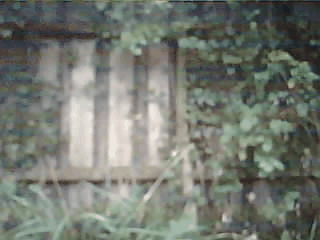 /images/blog/2026-06-15-Vogelerkennung/rotkehlchen.gif - Logo