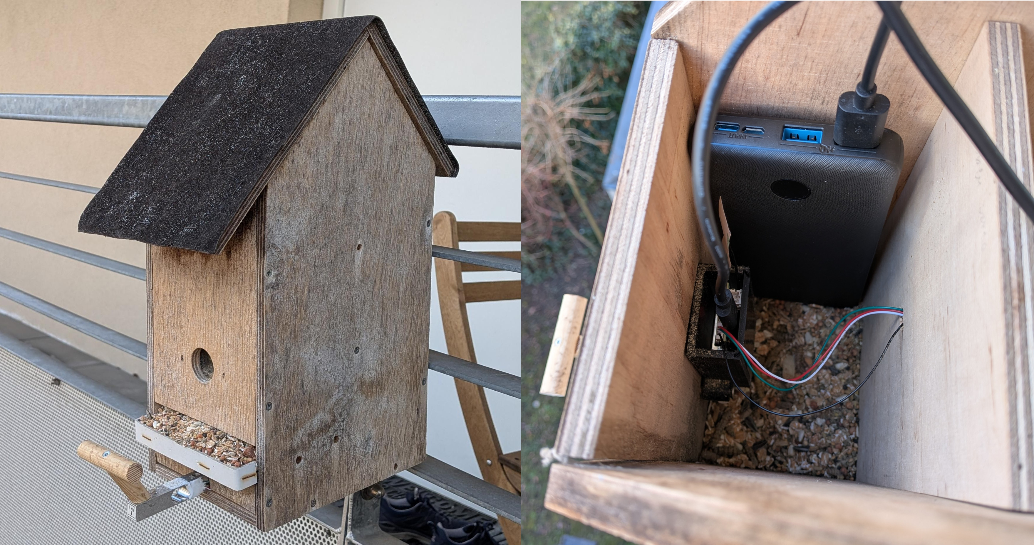 Bird house