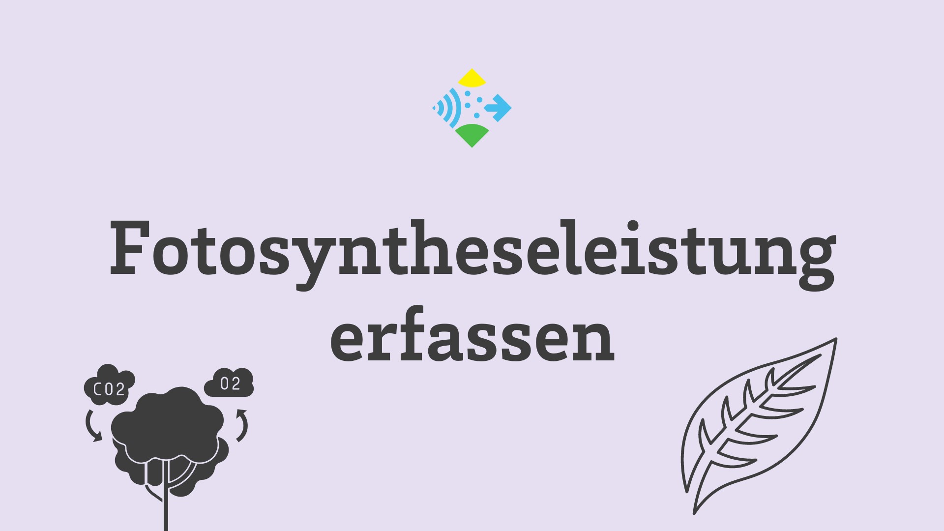 Fotosynthese­leistung erfassen - Logo